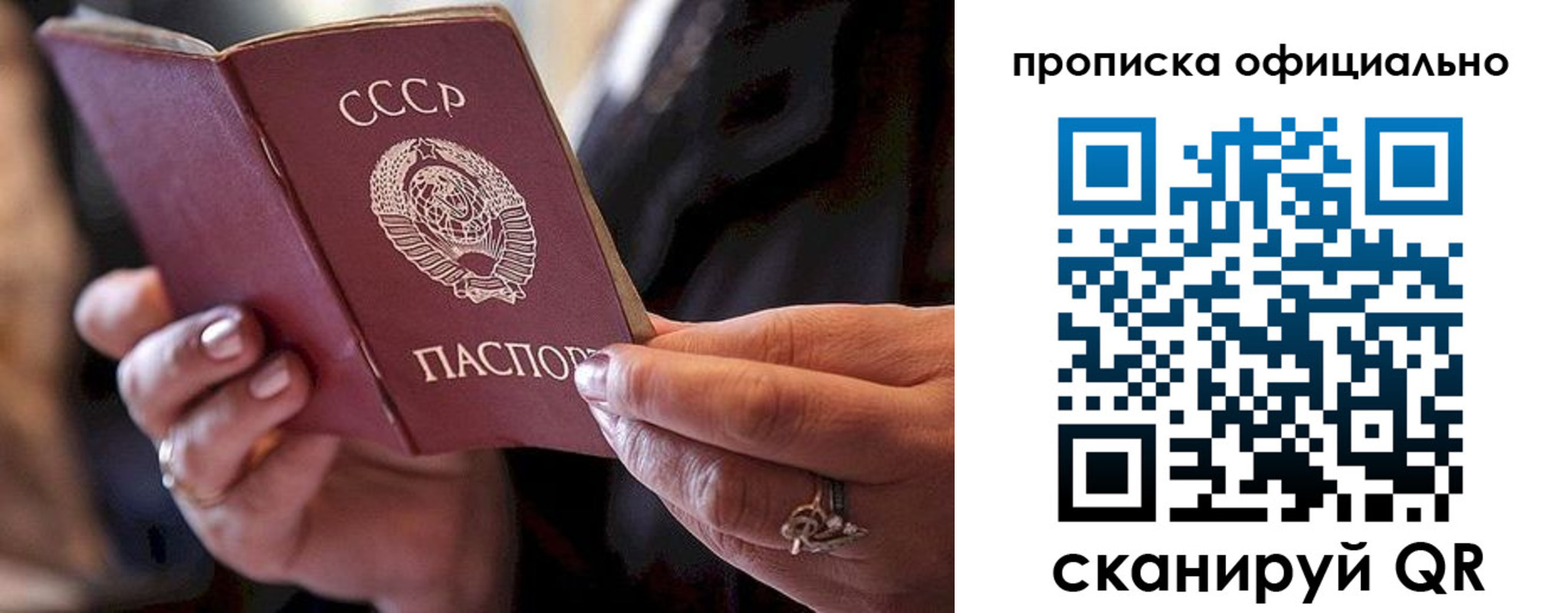 прописка поиск в Похвистнево